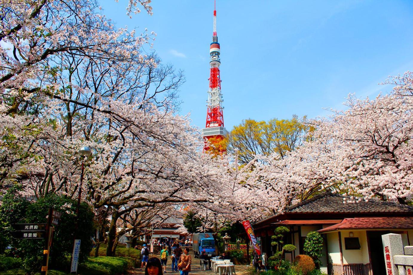Rose Stay Tokyo Shiba Park Exterior foto